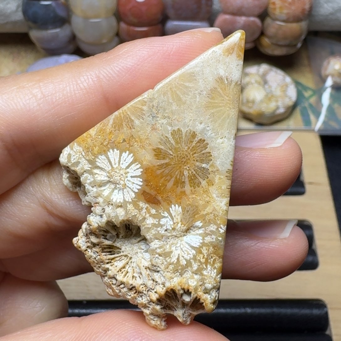 硅化玉打个孔，9.9米未镶嵌小*