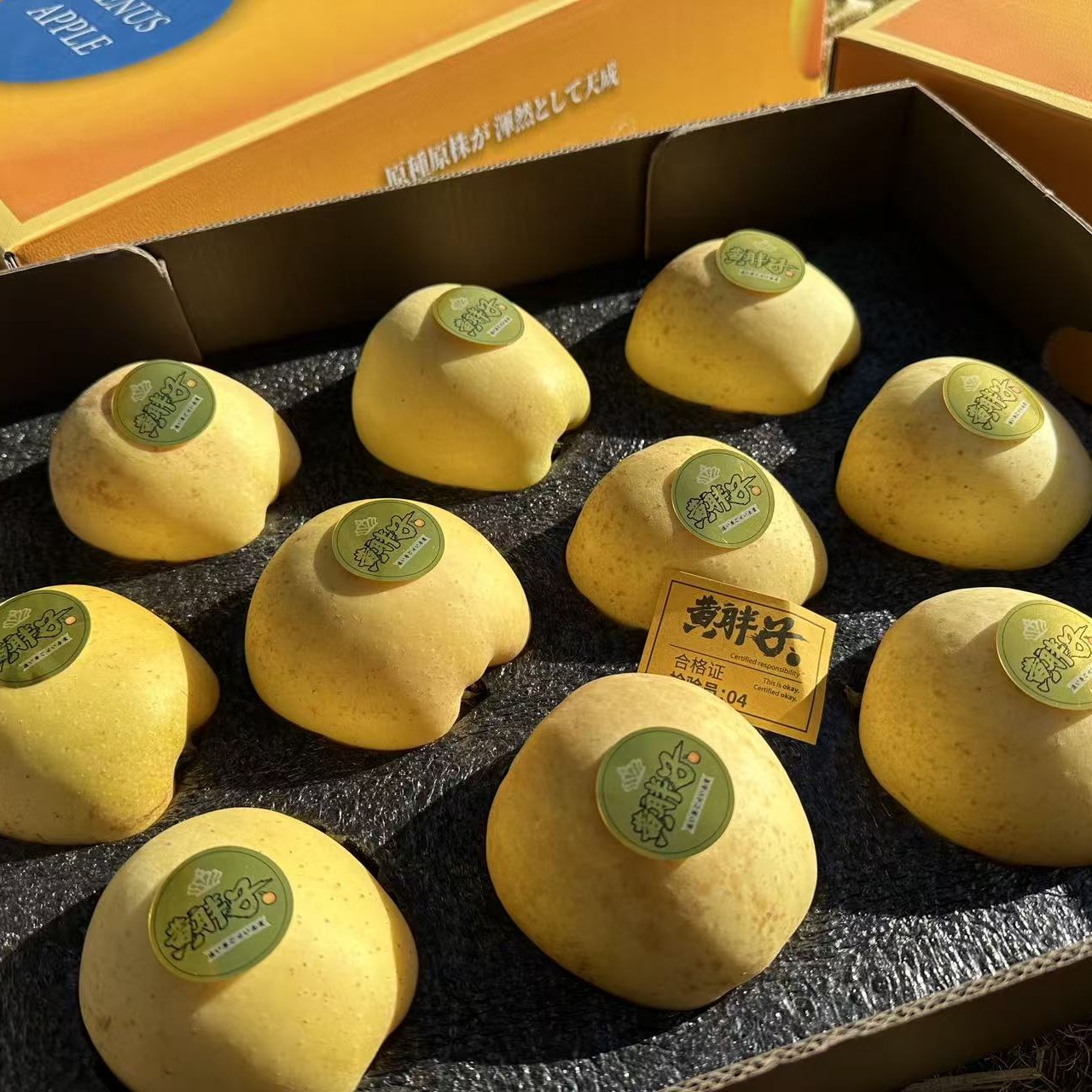 【顺丰次日达】黄胖子 特级 黄金维纳斯苹果 一箱 山东省