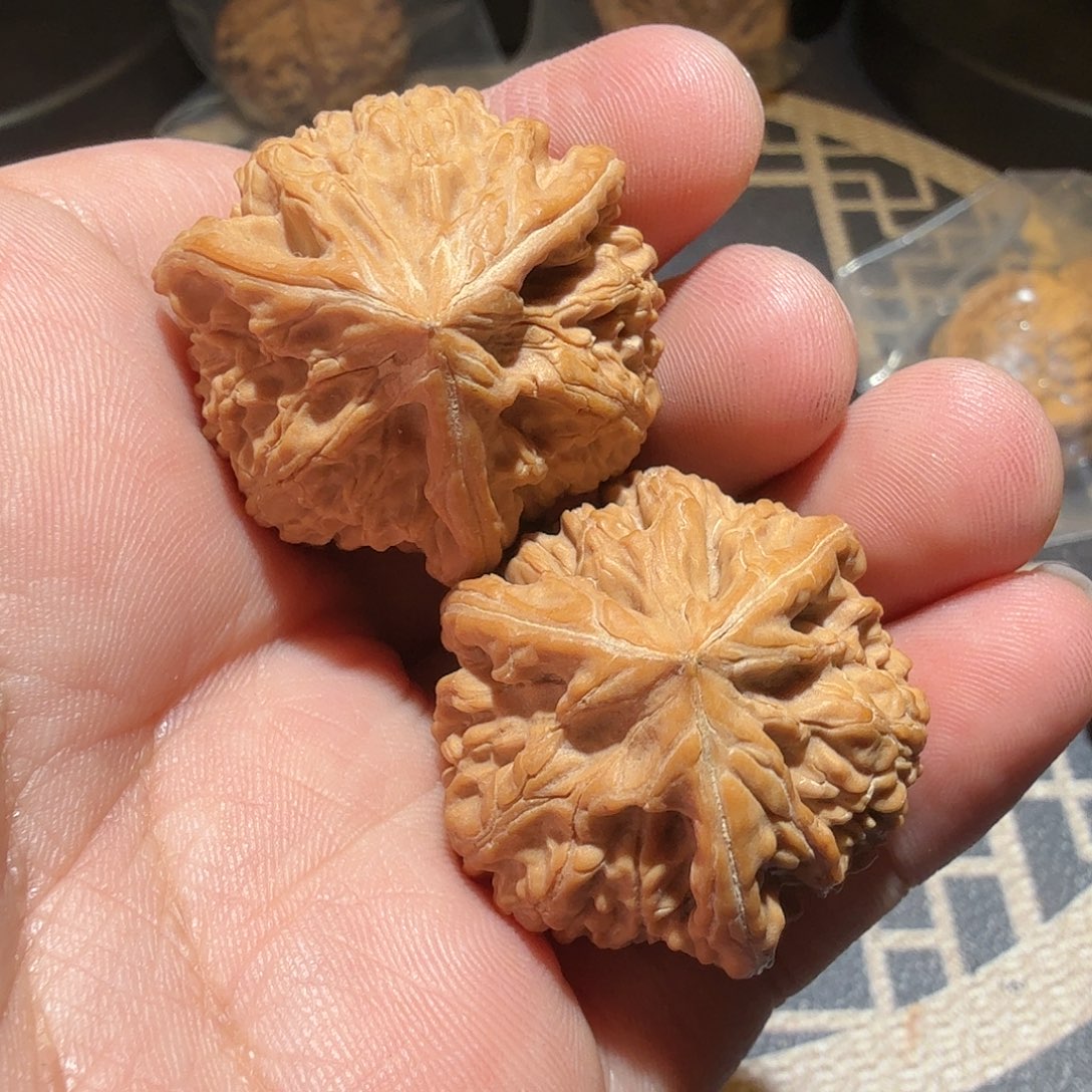 文玩核桃把件发*者御龙