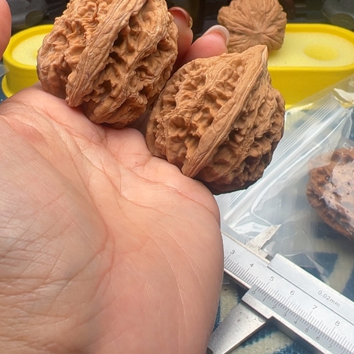 吊坠桃核文玩大孤石