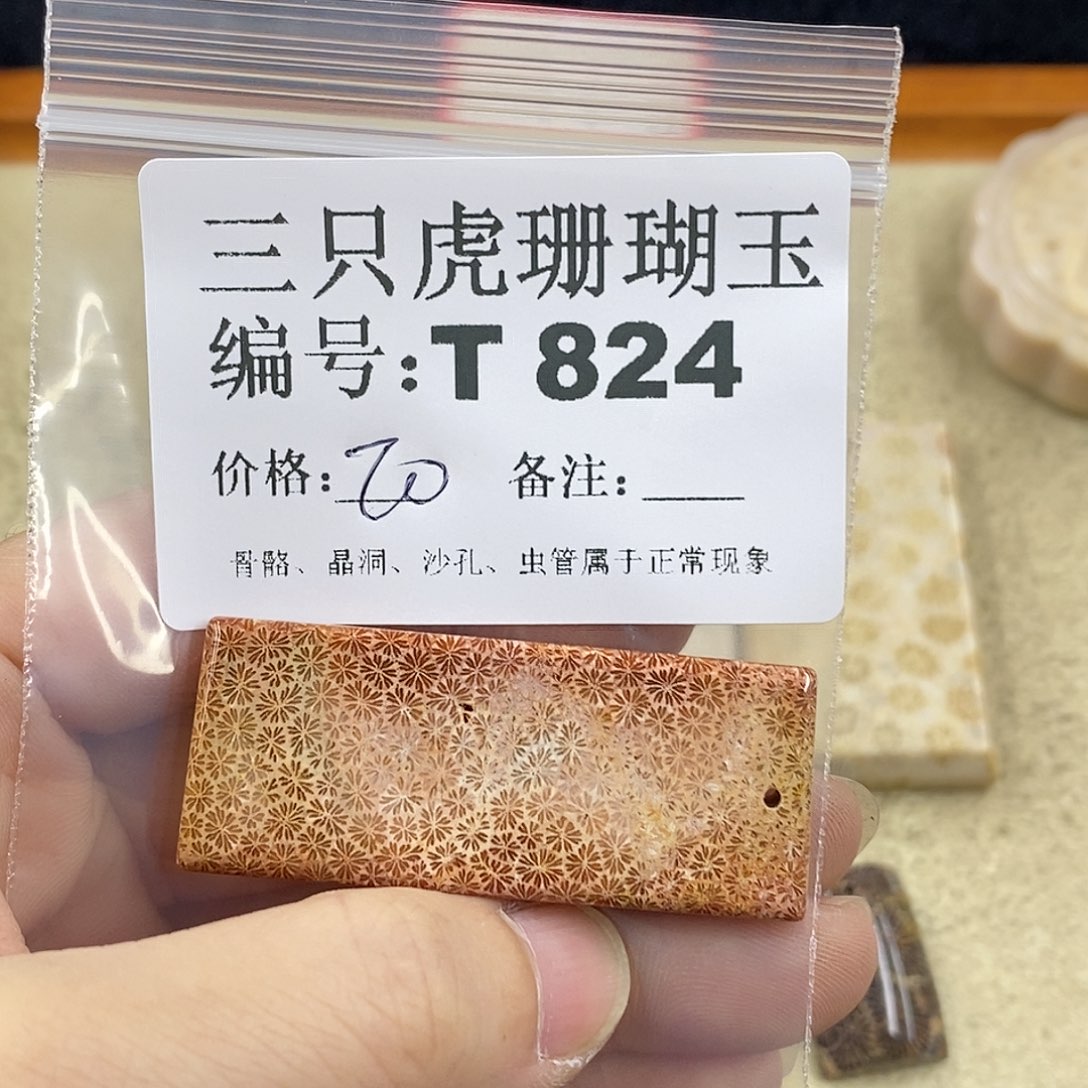 硅化珊瑚（珊瑚玉）1未镶嵌三***.