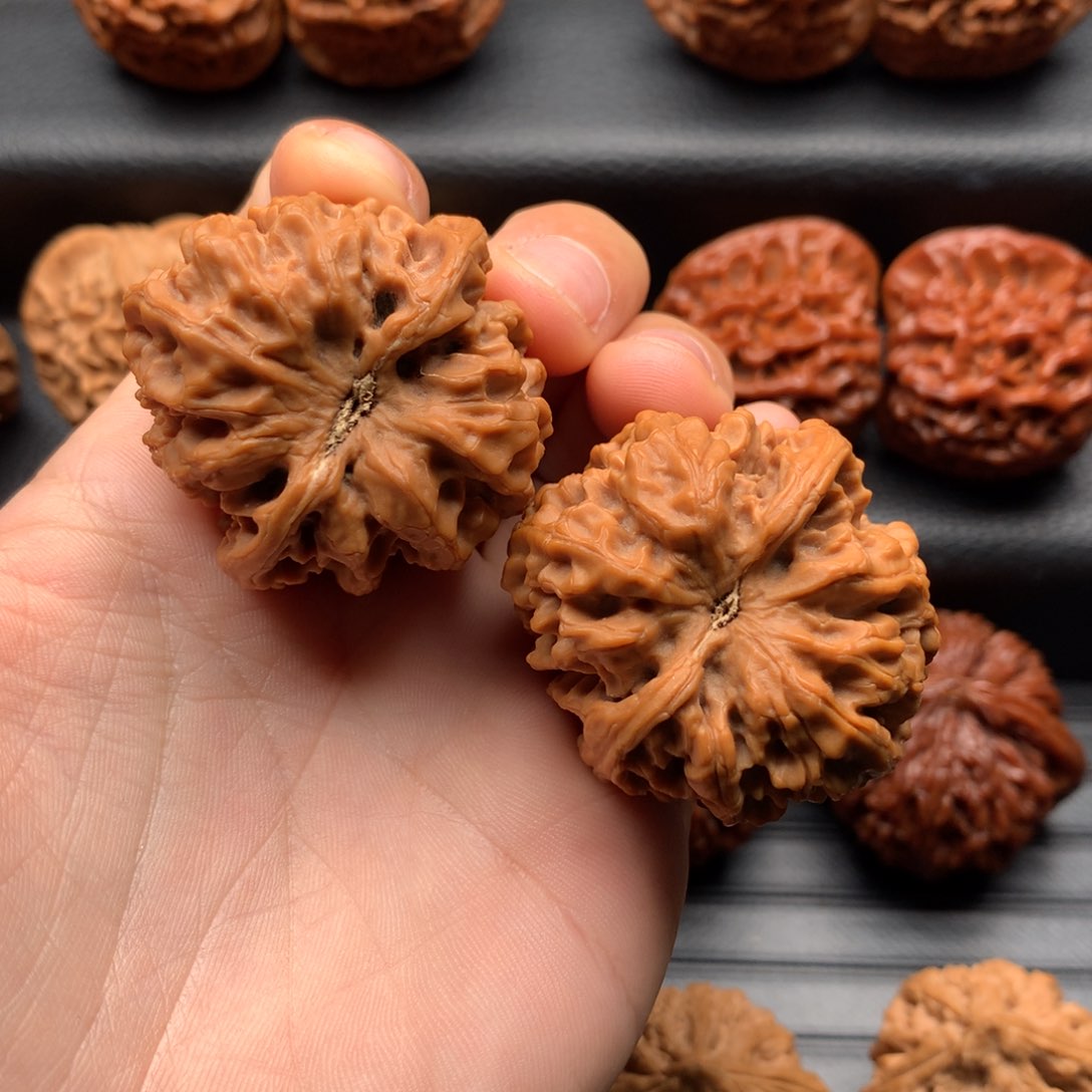 文玩核桃把件梦***?秦岭