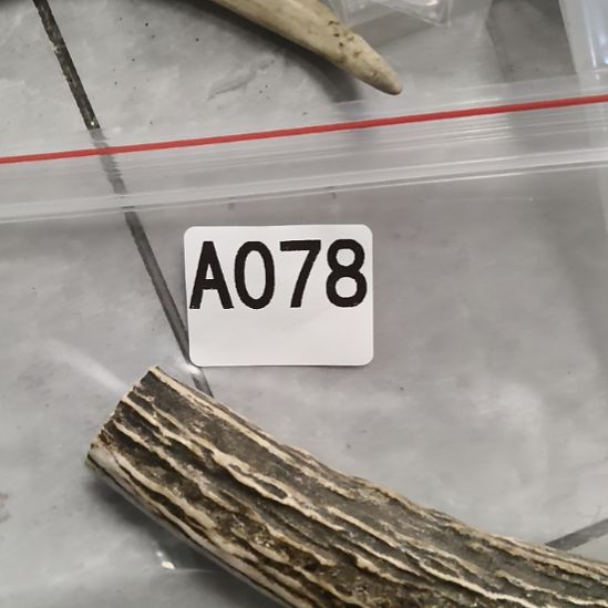 ****雨鹿角鹿角鹿角鹿角鹿角