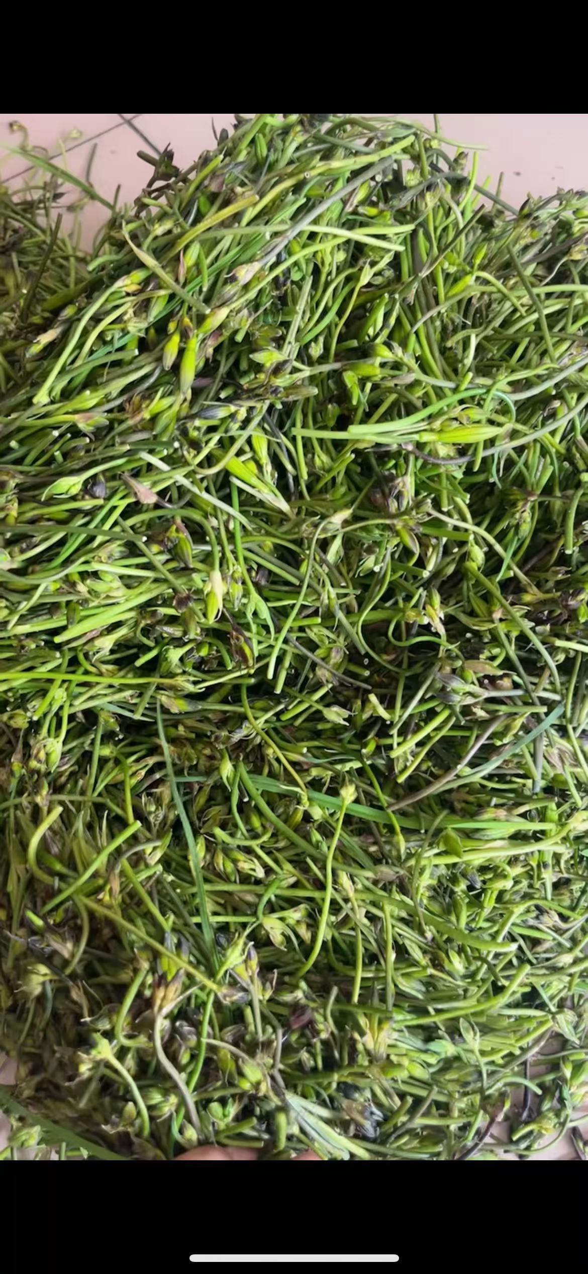 克旗黄花菜，蒸包子，包饺子，炒肉丝，炖排骨