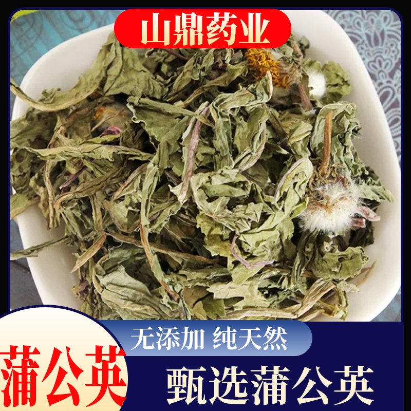 山鼎药业【蒲公英】正宗精选货野生整颗干草精选新货蒲公英茶婆婆丁