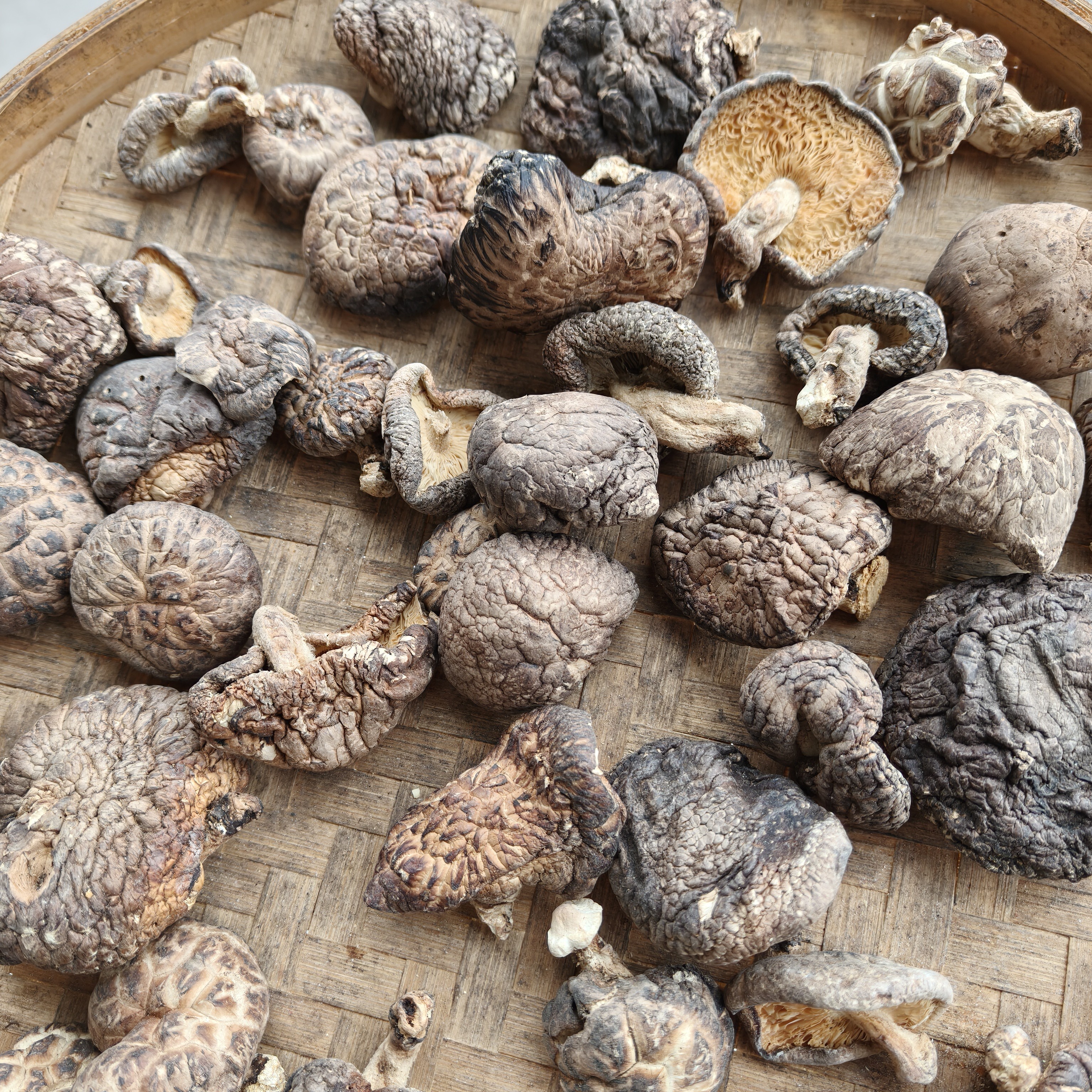 大巴山高山椴木香菇，冬菇香菇