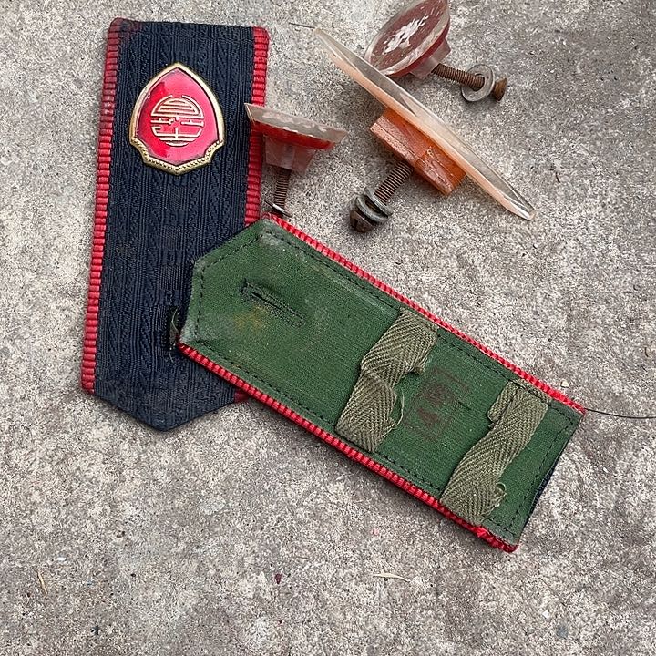 核桃木/黑胡桃（胡桃木）粤****收