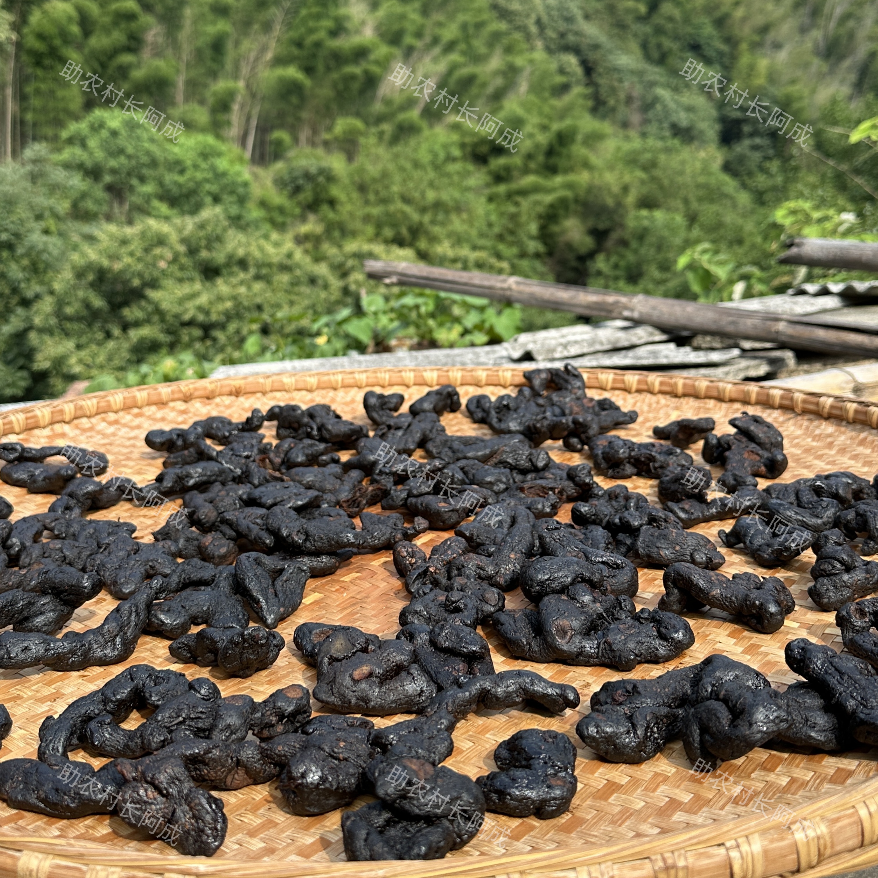 【阿成村长严选】正宗九华山九蒸九晒黄精