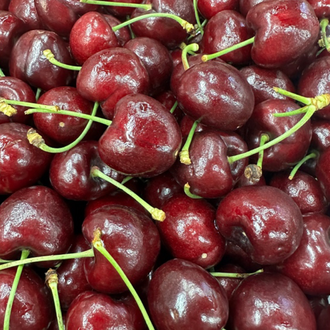 智利海运新鲜进口单J桑提娜车厘子2斤装桑提娜樱桃智利