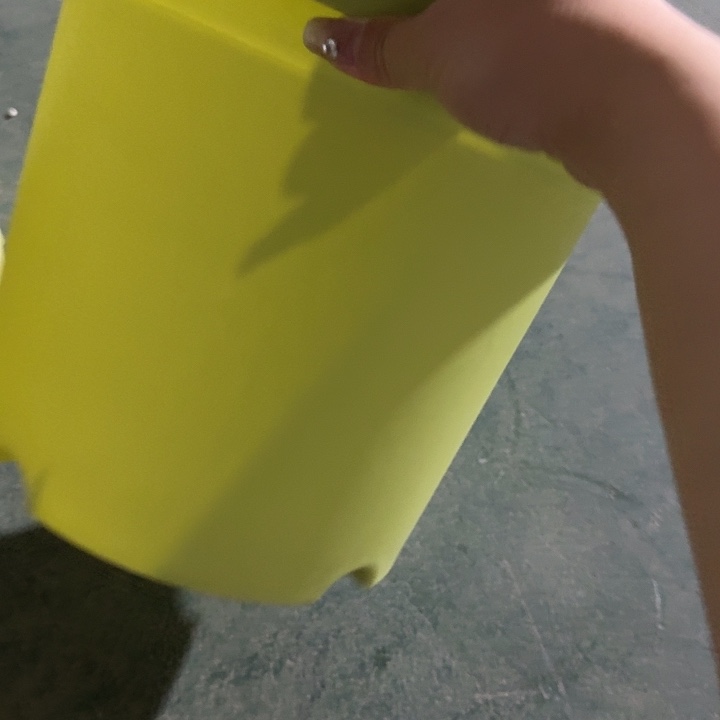 四季5号果绿无托10个特价微瑕