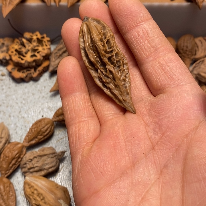 酸***桃吊坠文玩核桃不错