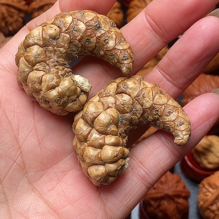 吊坠文玩核桃龙鳞爪