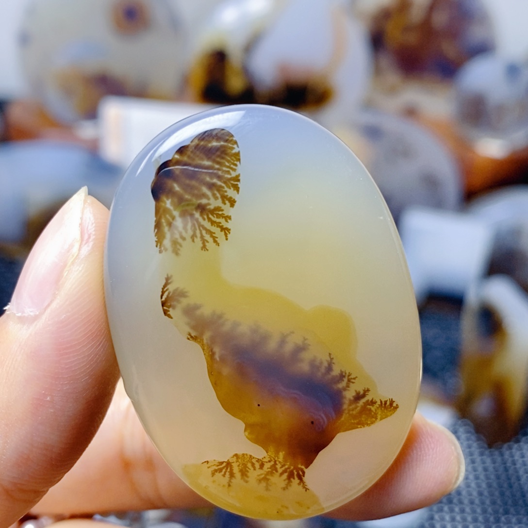 玛瑙/玉髓未镶嵌珠宝奇石