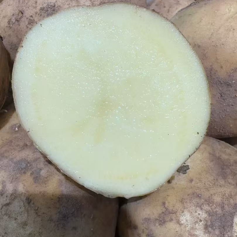小赵生鲜｜内蒙老品种土豆中大果5斤京东包邮