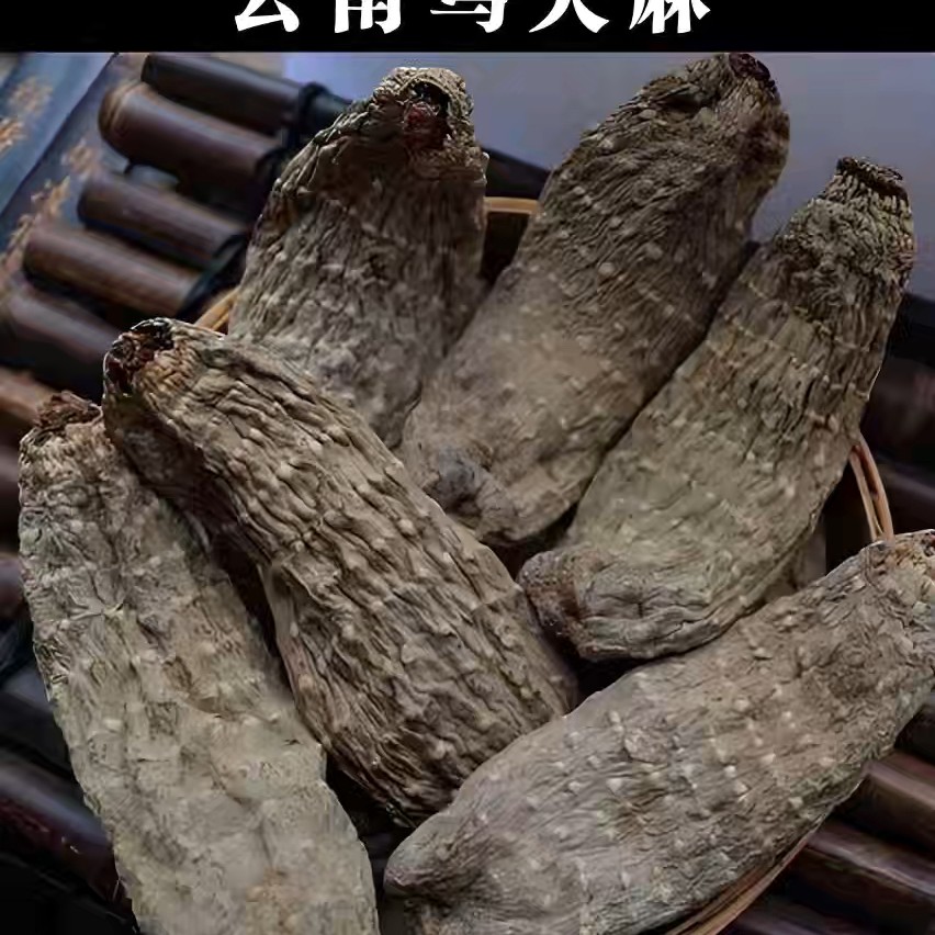 云南土特产乌天麻野生