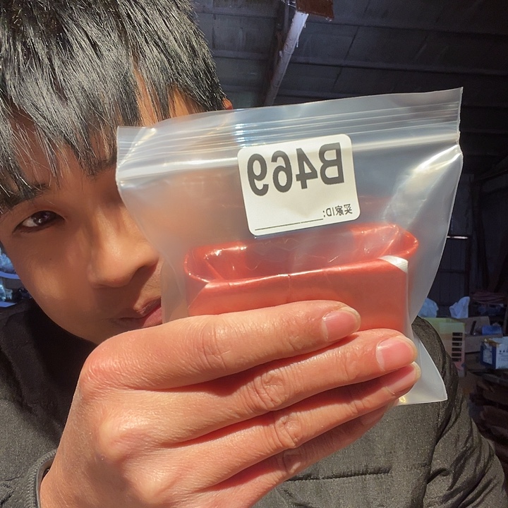 静****大果紫檀（缅甸花梨）469