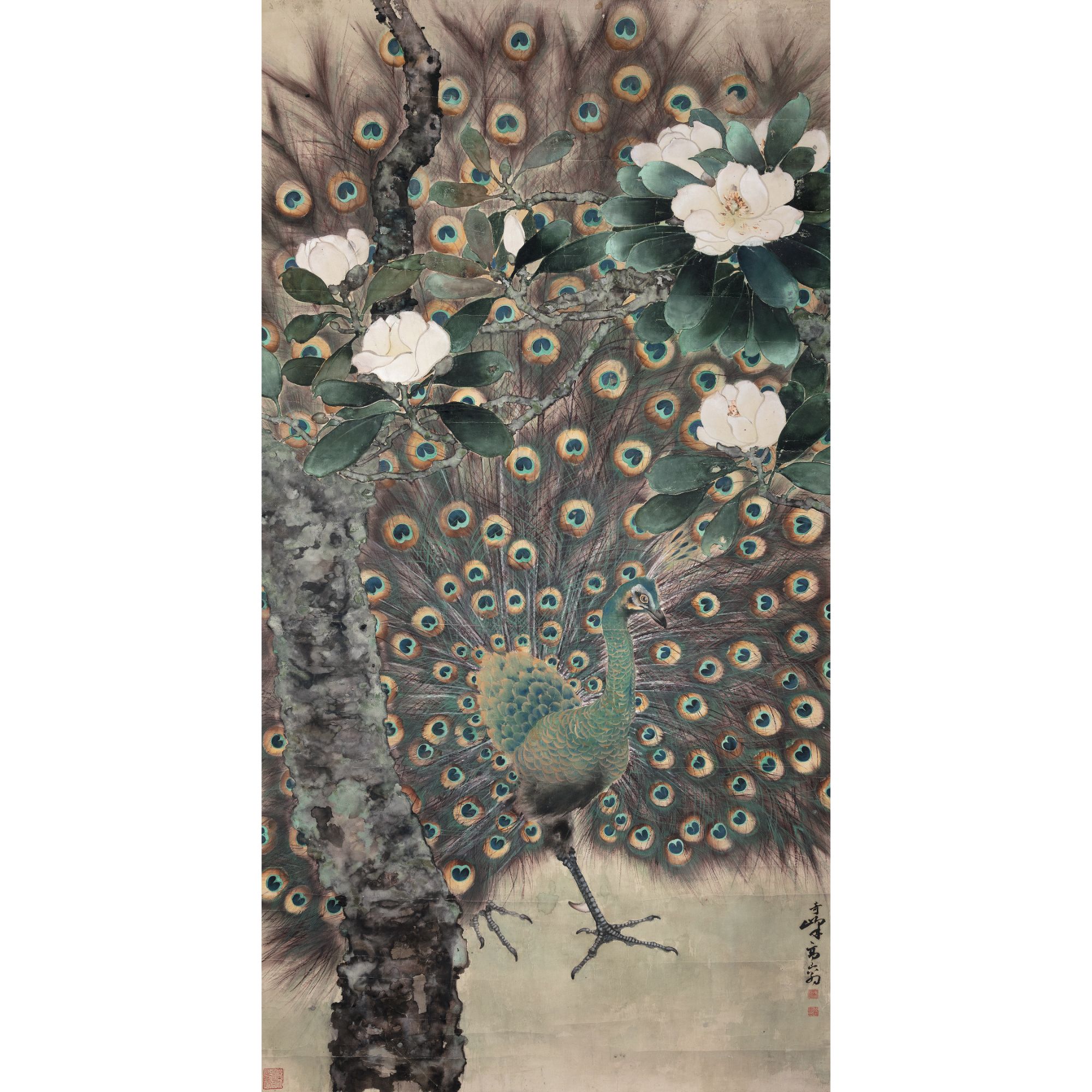 高奇峰 山茶孔雀 镜心 171×89cm