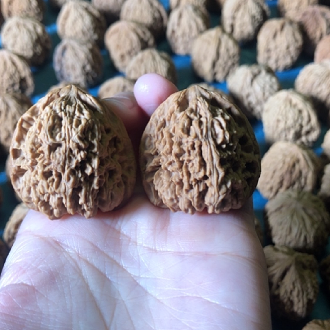 【闪购商品】文玩核桃把件多***.一代将