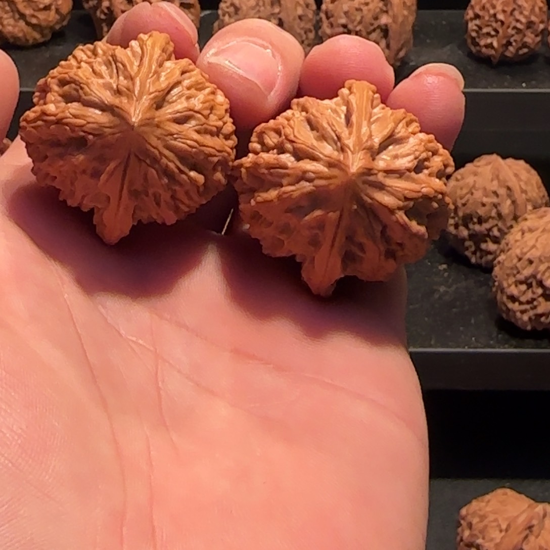 桃核把件灯笼核桃37.5