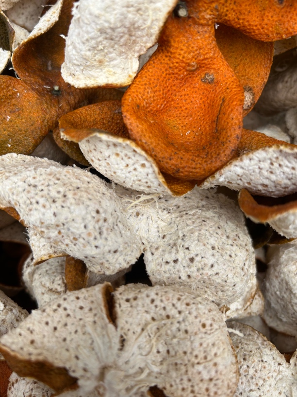 【新会三江驳枝大红】2024年新皮新会陈皮自产自销天然生嗮干仓储