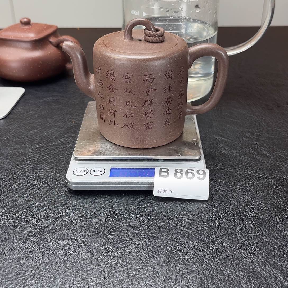 茶壶紫砂869yyyyyyyyy