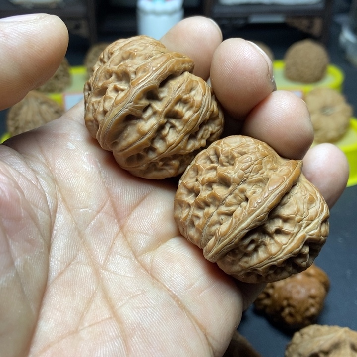 核桃@***洒元宝-龙门涧888