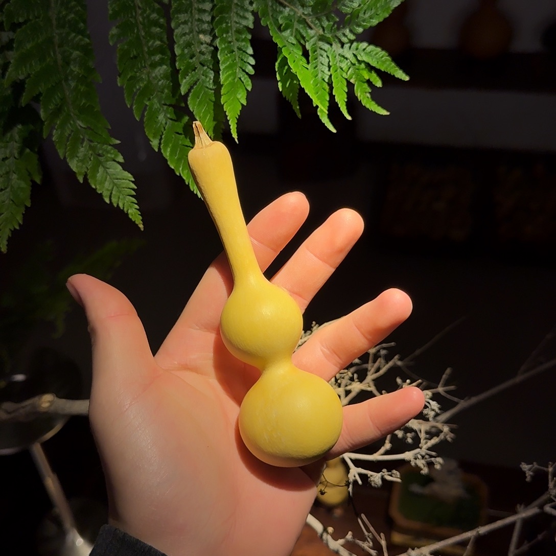 Y***u舎得出品精选葫芦SHEDE