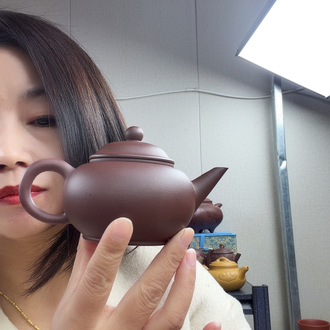 水平壶210cc老紫泥