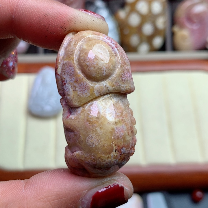 硅化珊瑚（珊瑚玉）颈饰未镶嵌