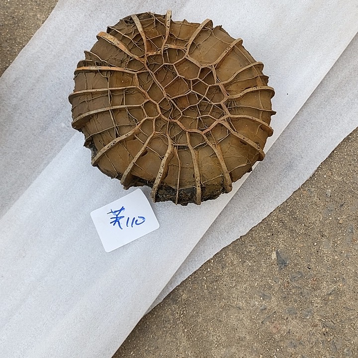 芙***生去付吧哥谢谢谢谢