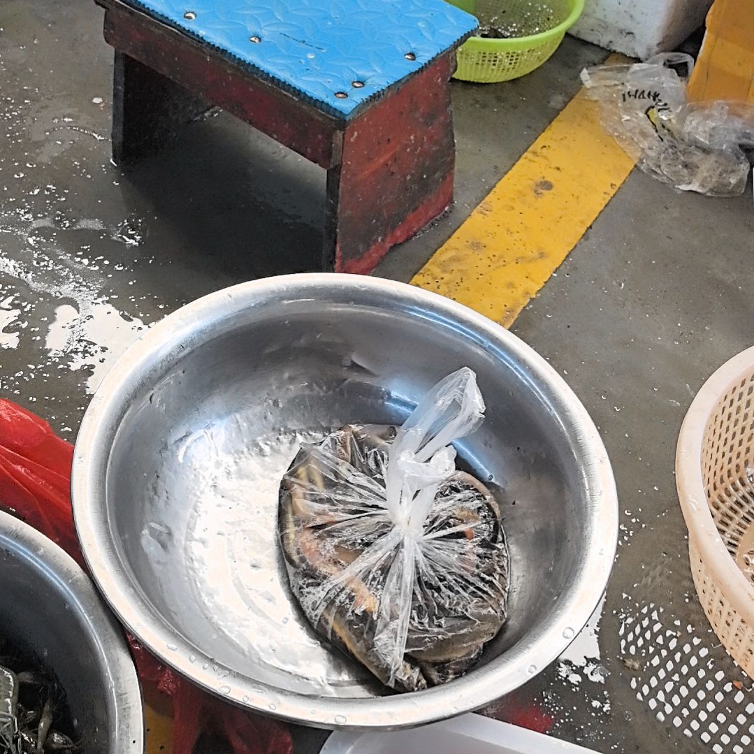 石台小李代购泥鳅1.16
