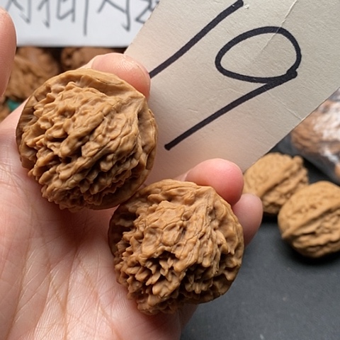 桃核吊坠37全品皇冠