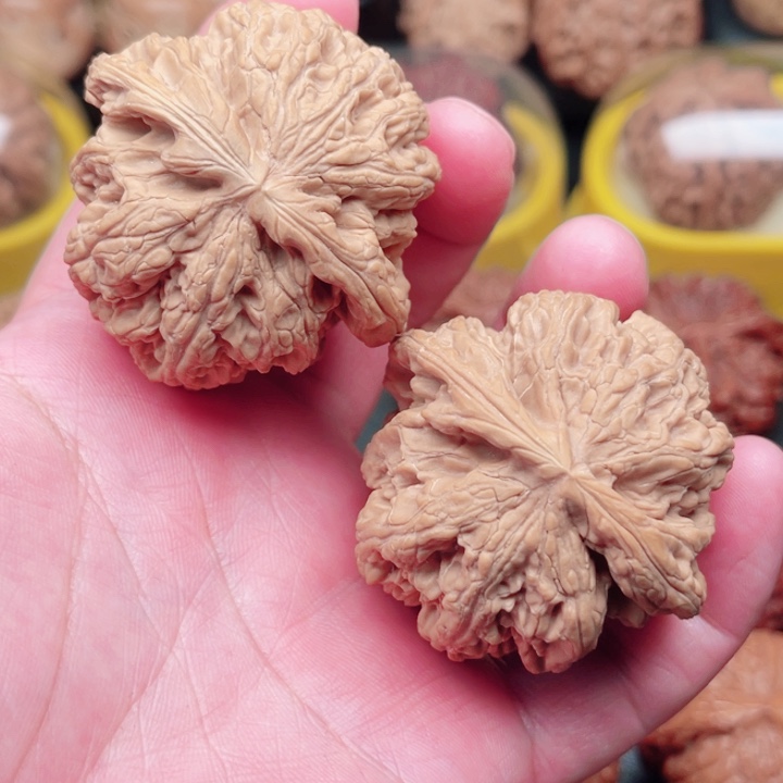 文玩核桃把件平谷大粗筋48×47×40