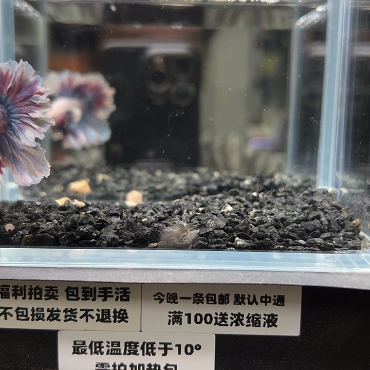 斗鱼114 竞拍跑单拉黑3号