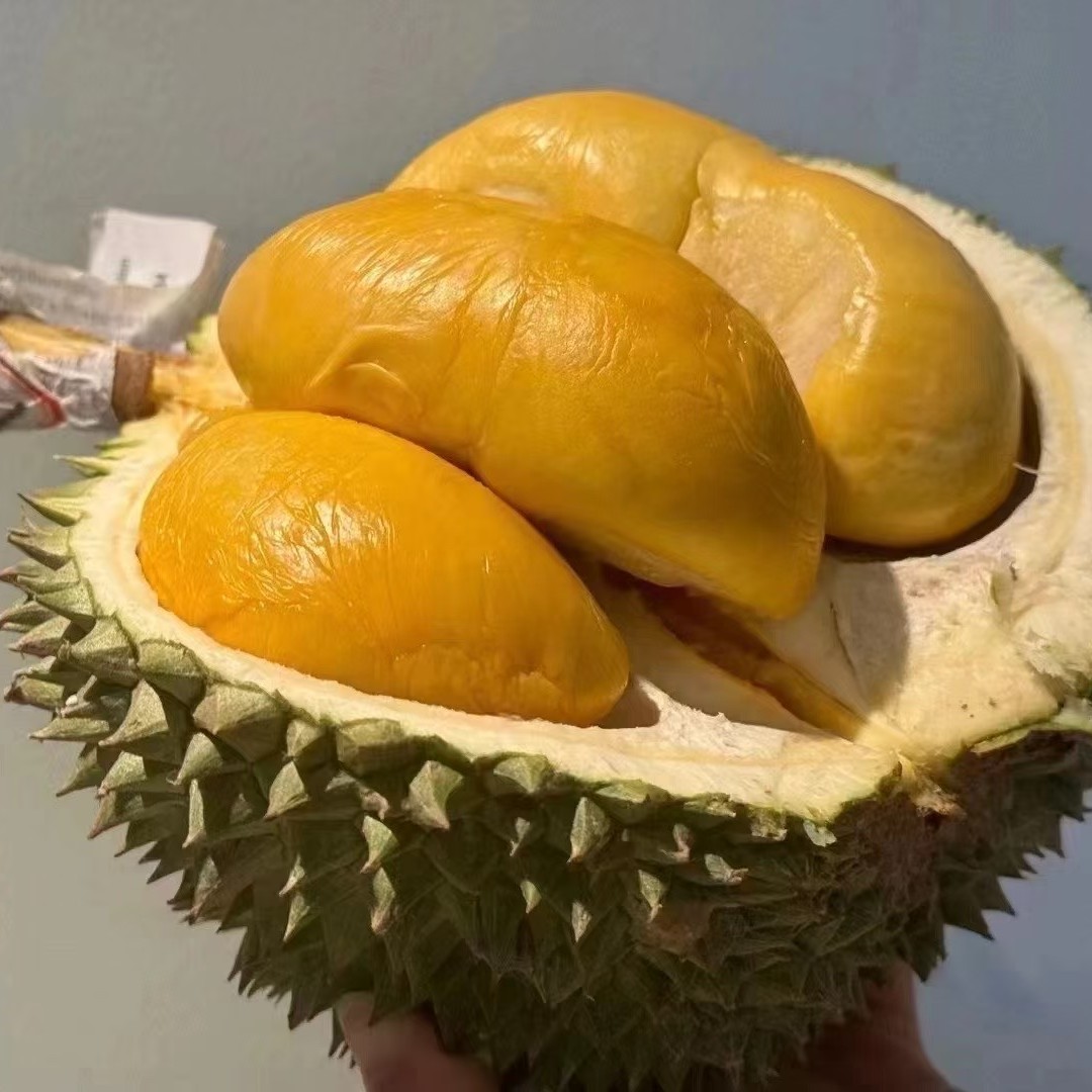 现开纯果肉鲜榴莲树熟空运进口果核小一果一重上海小时达配送猫山王马来西亚