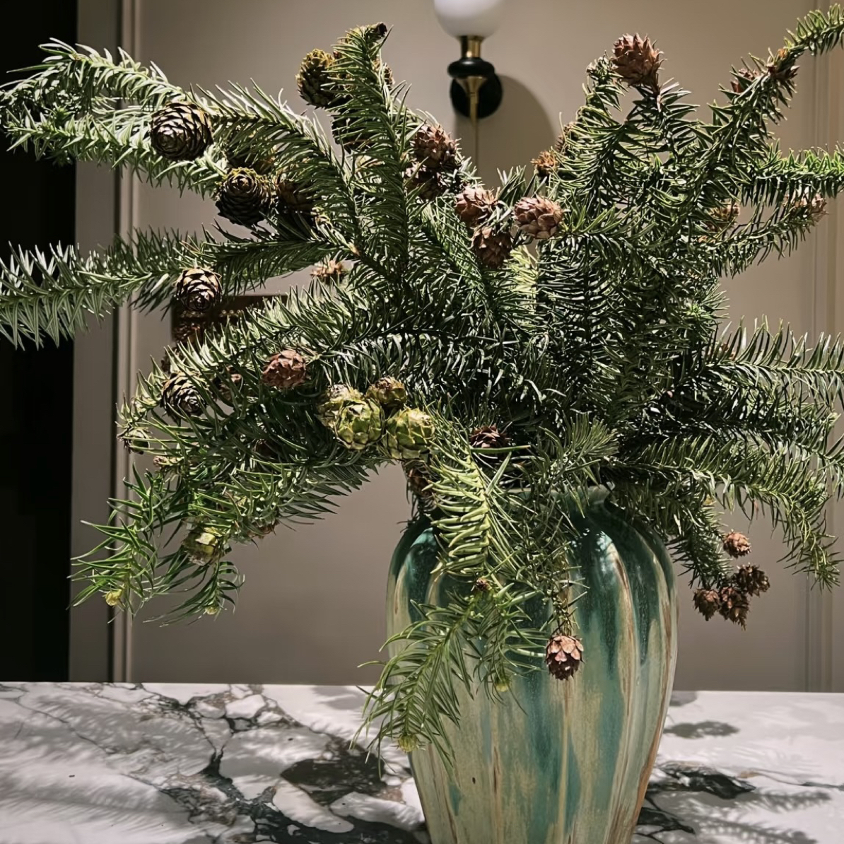 莲花松——圣诞花束 圣诞花材 可做干花