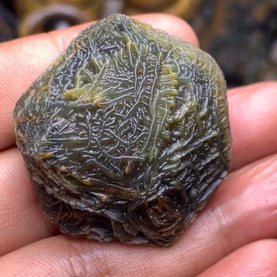 小***巴这个时候真的觉得