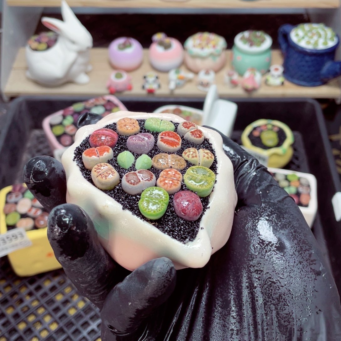 夜间零下地区拍保温箱w3596