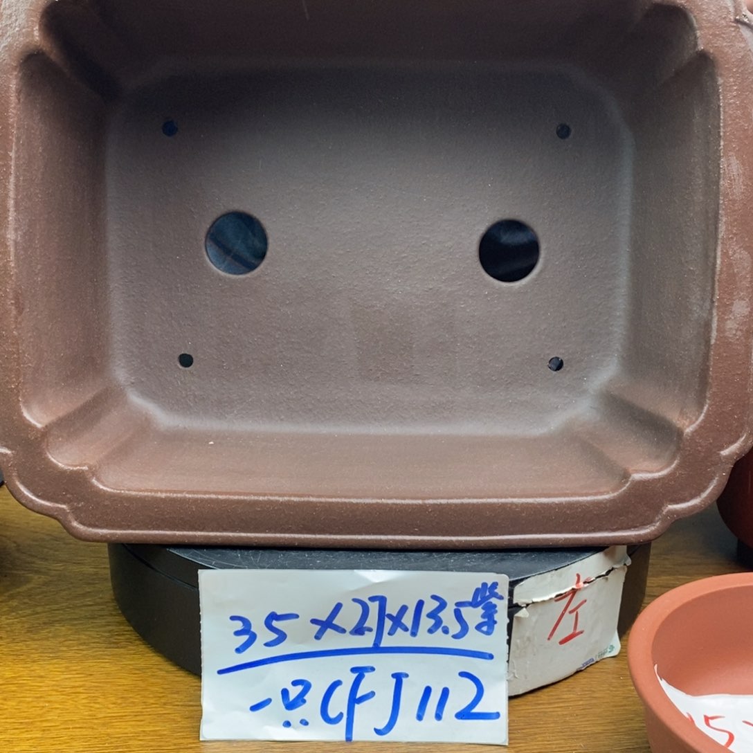 红陶货号一只CFJ122子