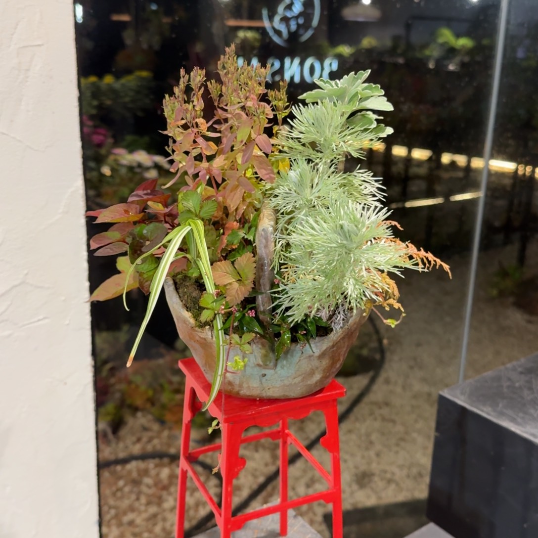 全部花朵山野草手作提篮