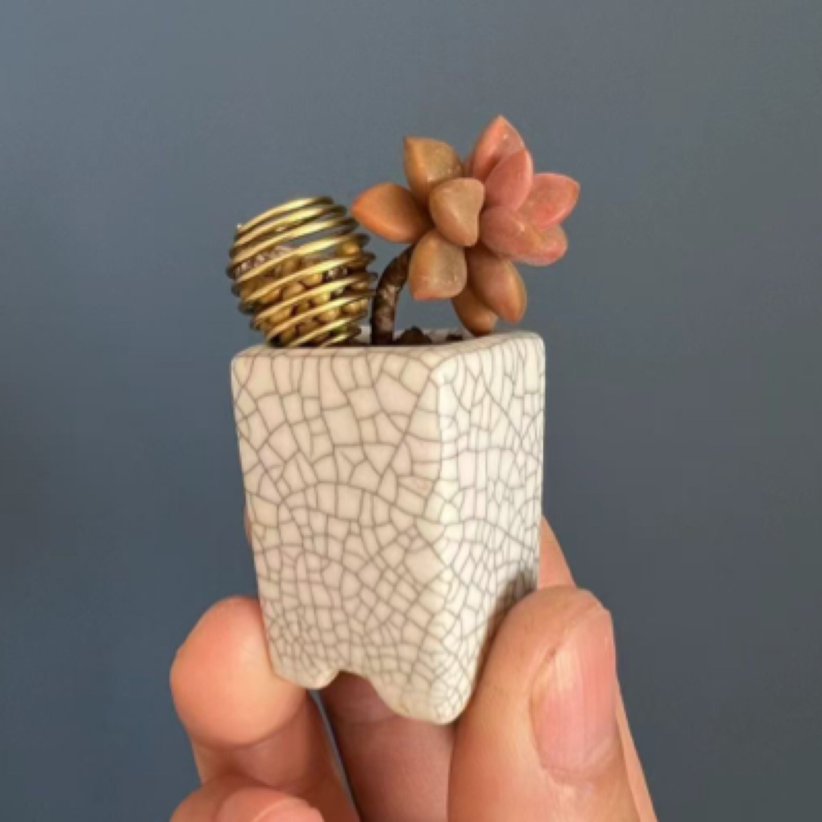 宜兴花盆陶瓷花盆 小釉盆 菖蒲盆 盆景盆 特色小花盆