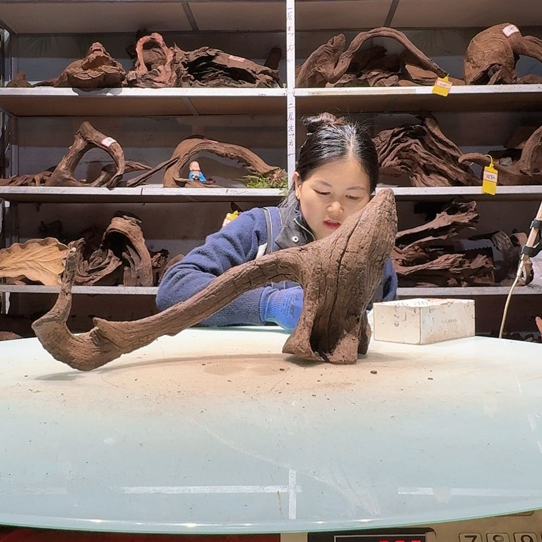 倍褚沉木不包损必褪色?**?6650