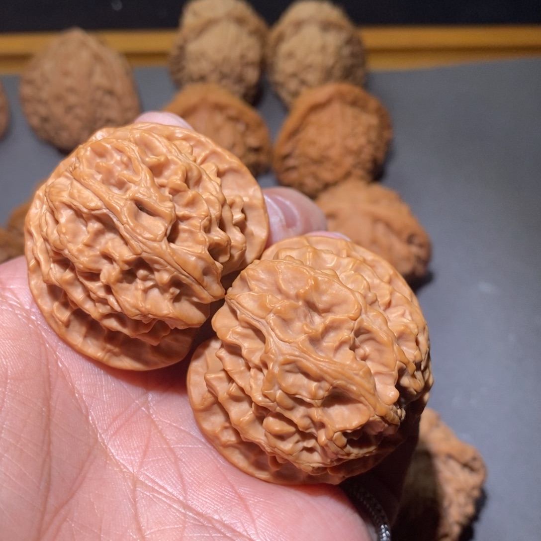 木质41苹果园核桃核桃