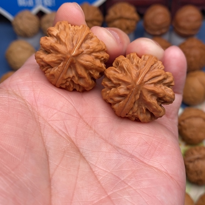 文玩核桃把件帝王龙脊