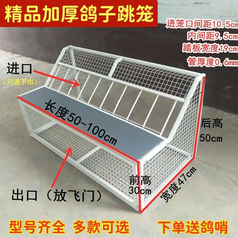 不锈钢鸽子跳笼带跳台进出门赛鸽训放信鸽用具鸽子笼