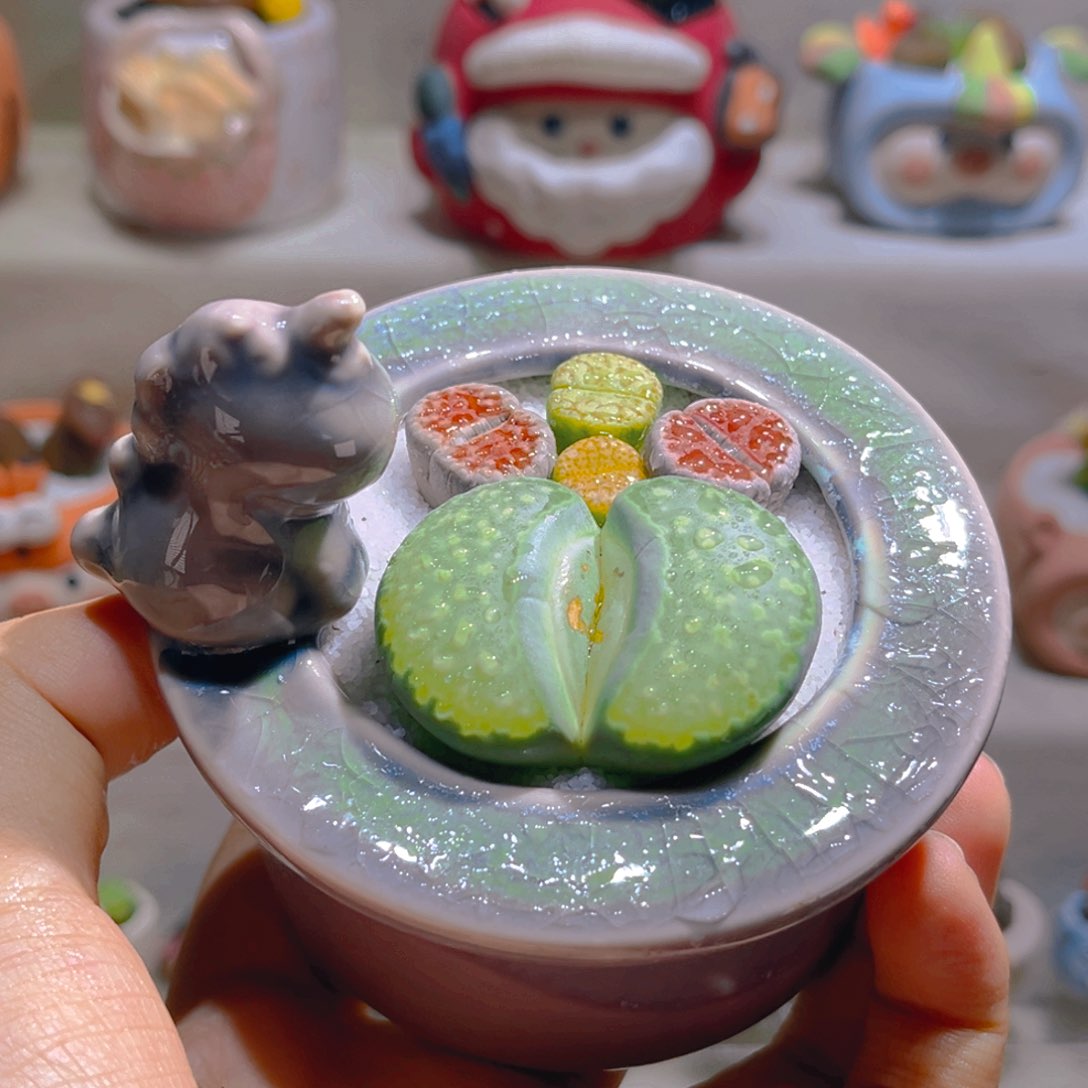 泡*泡沫宝宝专属链接拍拍