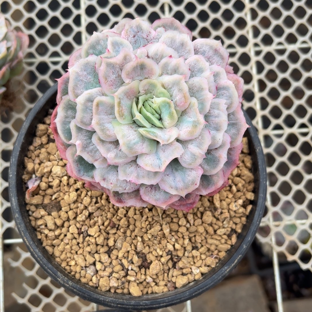 木***乖哈哈哈哈哈哈好吧宝贝宝贝