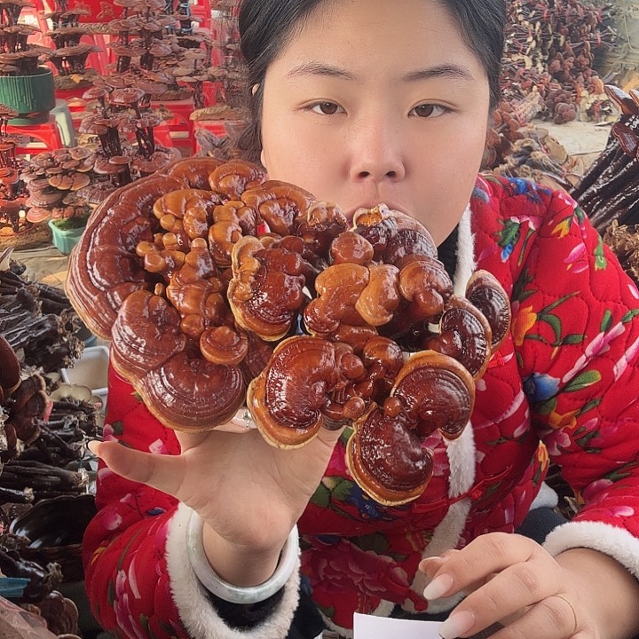 无花朵L**?灵芝花开了