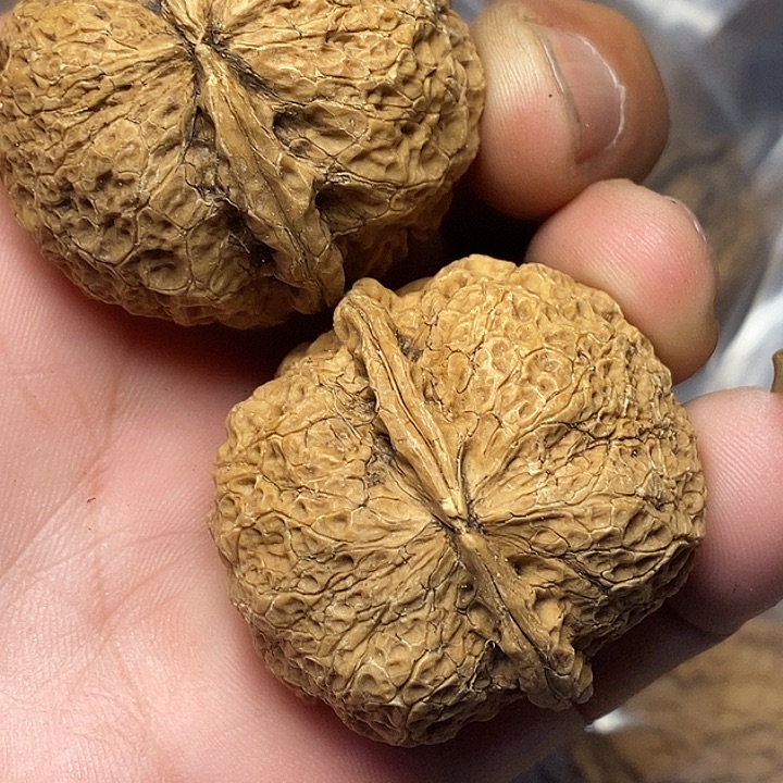 文玩核桃把件云南铁核桃B12