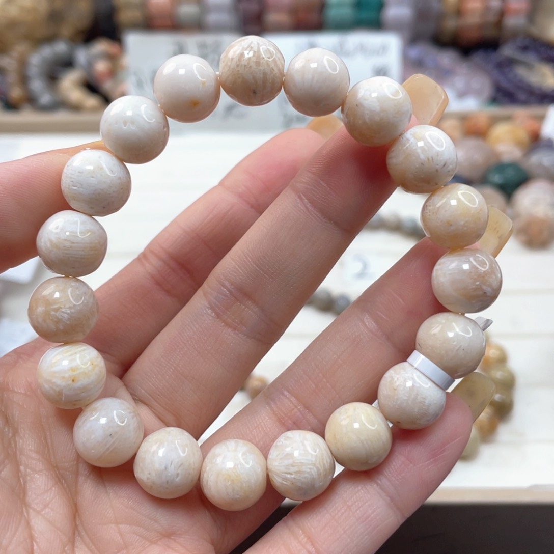 未镶嵌手链硅化玉荣*450